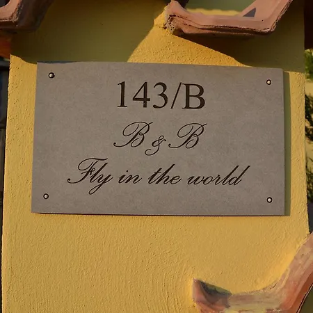 Fly In The World Bed and Breakfast Φιουμιτσίνο